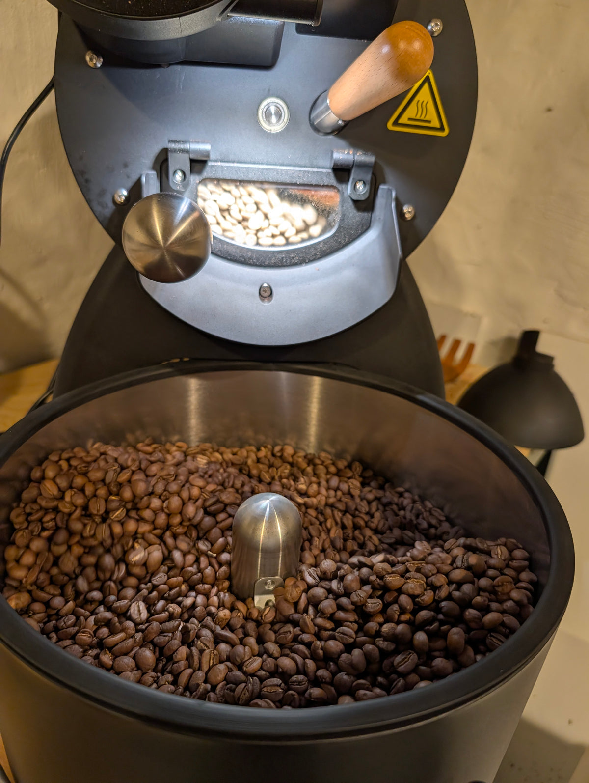 A close-up of a coffee roasting machine with roasted coffee beans inside a metal hopper and unroasted beans visible in the auger chamber.